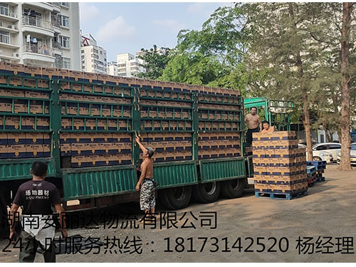 &#20061;&#28216;&#23448;&#26041;&#32593;&#39029;&#29256;&#45;&#20061;&#28216;&#40;&#20013;&#22269;&#41;